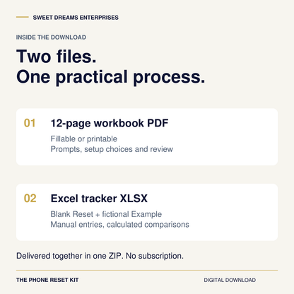 Includes a 12-page fillable or printable PDF workbook and XLSX tracker with Reset and fictional Example tabs.